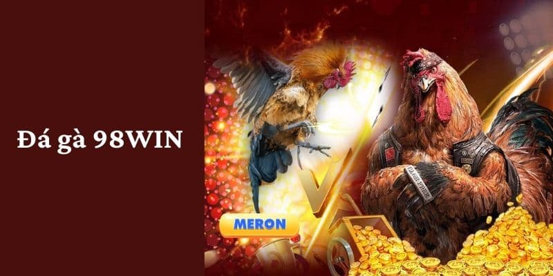 Giới thiệu sơ lược về hình thức chọi gà tại nhà cái 98WIN 